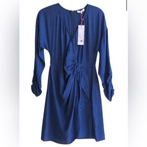 Parker blue long sleeve animal print dress